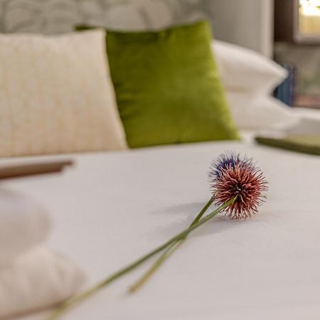 Green Terrace Loft Colosseum روما المظهر الخارجي الصورة